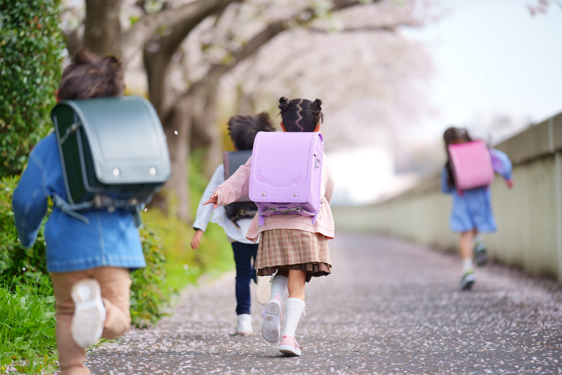 小学生登校